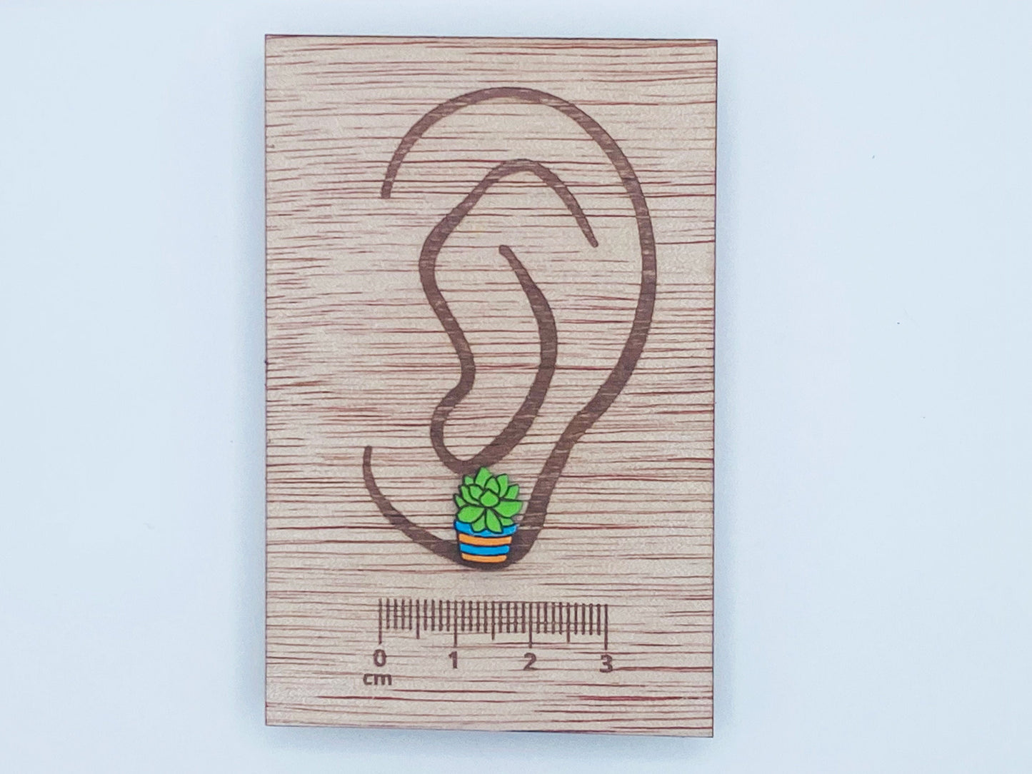 Succulent Plant stud Earrings, potted plant, nature stud earring